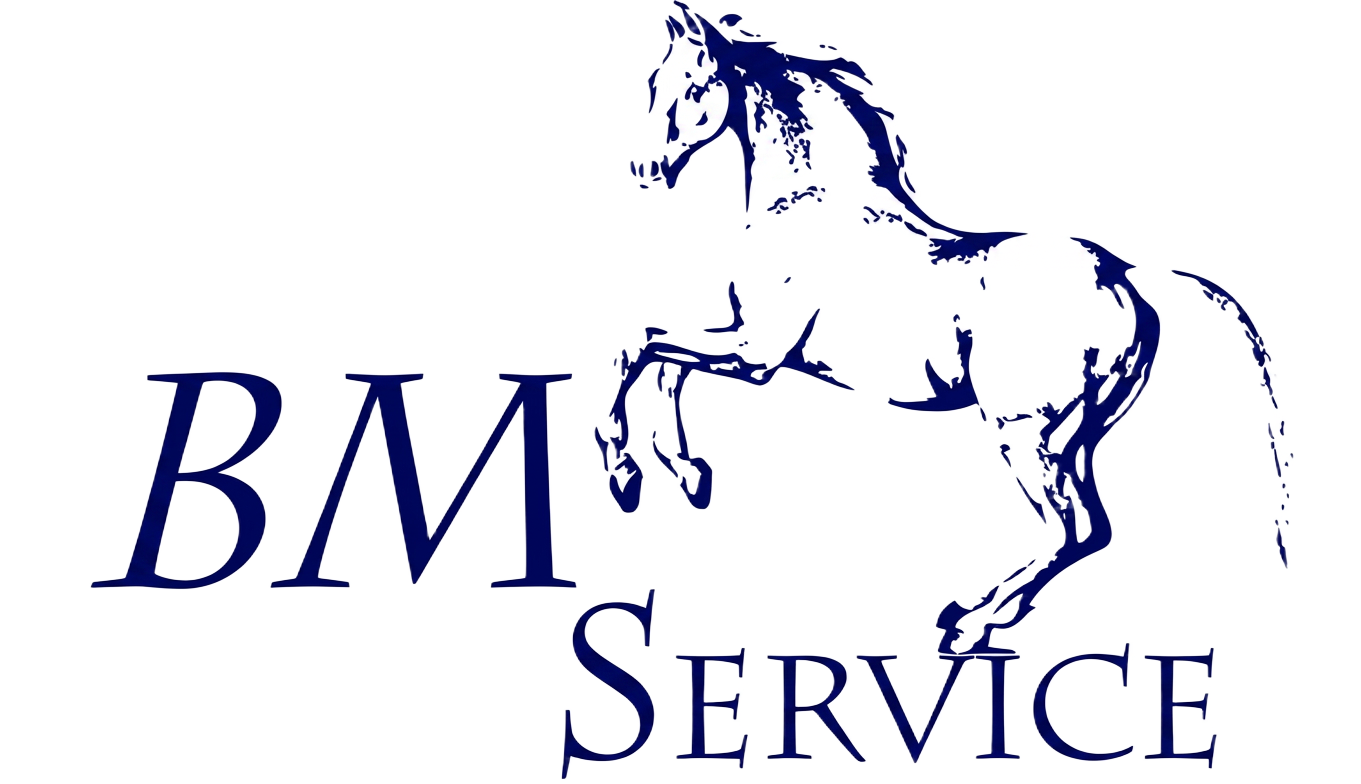 BM Service partner logo