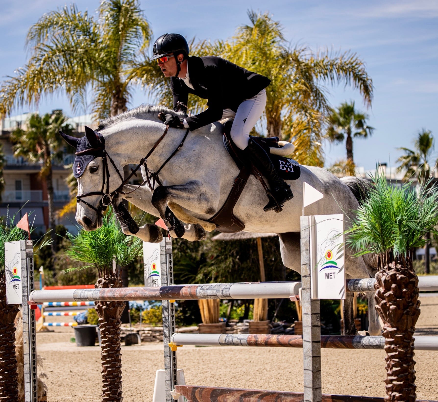 Sport Horse I