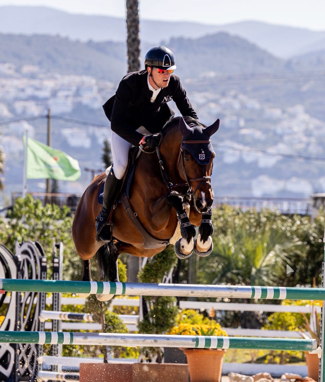 Sport Horse IV