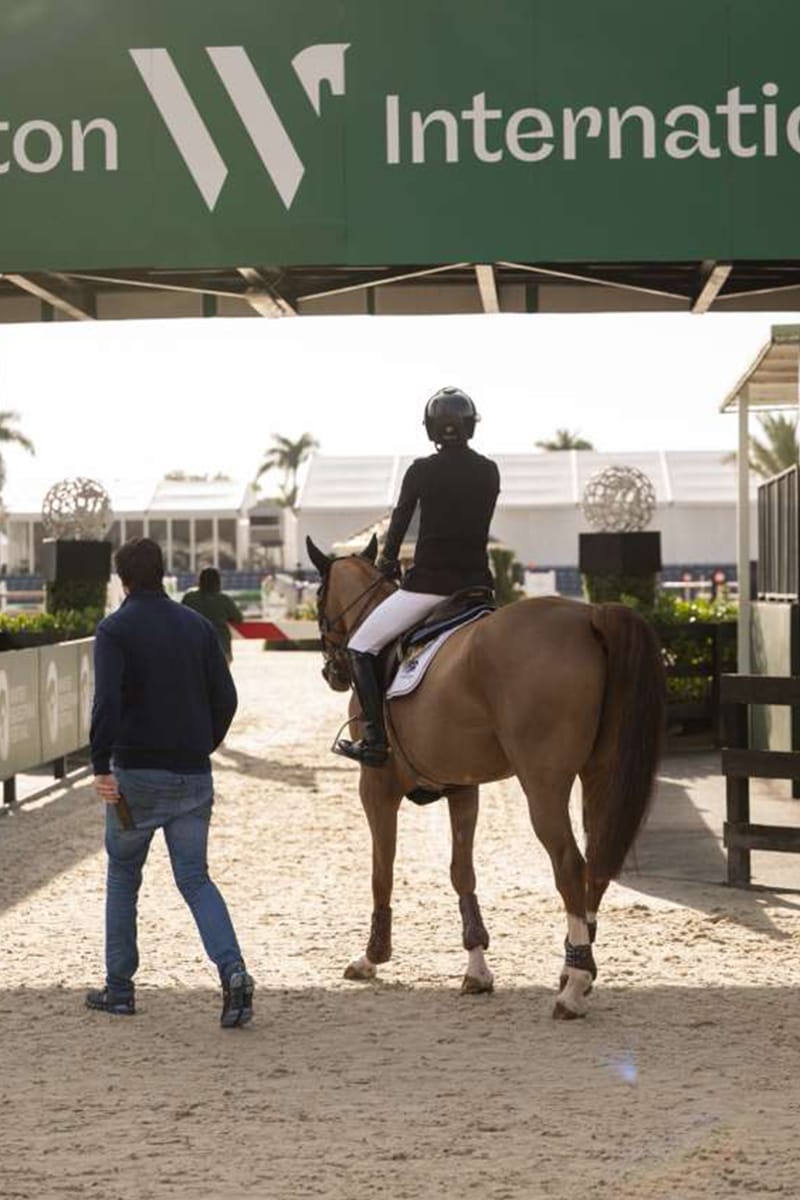 Eyckenhoeve facilities and horse care